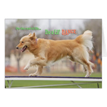 Golden Retriever birthday Card 'Road' cards