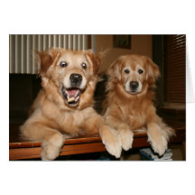Golden Retriever Birthday Greeting Card