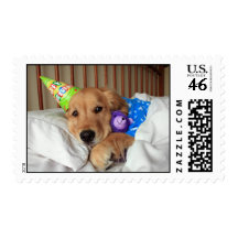 Golden Retriever Birthday Postage Stamp