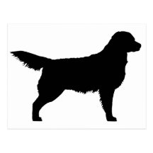 Golden Retriever (black) Postcard