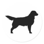 Golden Retriever (black) Round Stickers