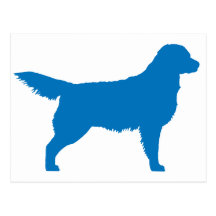 Golden Retriever (blue) Post Cards