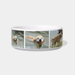 Golden Retriever bowl Pet Bowls