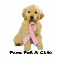 Golden Retriever Breast Cancer Ladies T-Shirt by normagolden Golden Retriever Breast Cancer Ladies T-Shirt