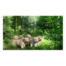 Golden Retriever Breeder Business Card