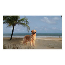 Golden Retriever Breeder Business Card