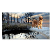 Golden Retriever Breeder Business Card