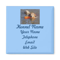 Golden  Retriever Breeder Magnet