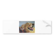Golden Retriever Bumper Stickers