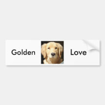 Golden Retriever Bumper Sticker