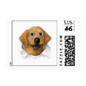 Golden Retriever Busting Out - Customized stamp