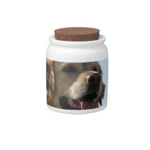 Golden Retriever Candy Jar