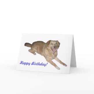 Golden Retriever card
