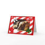 Golden Retriever-Cat Christmas Card Frame