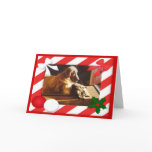 Golden Retriever-Cat Christmas Card Frame