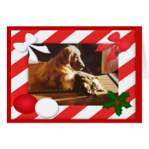 Golden Retriever-Cat Christmas Card Frame