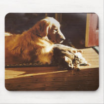 Golden Retriever Cat Mousepad Special Friends by normagolden Golden Retriever Cat Mousepad Special Friends