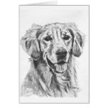 Golden Retriever Charcoal Sketch Greeting Card
