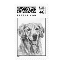 Golden Retriever Charcoal Sketch Postage Stamp