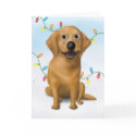 Golden Retriever Christmas card