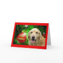 Golden Retriever Christmas Card Red Ball card