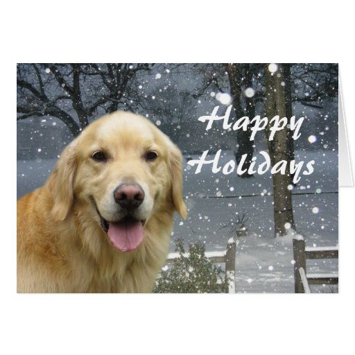golden retriever cards golden retriever card snowy zazzle golden retriever cards golden retriever card snowy zazzle