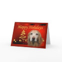 Golden Retriever Christmas Card Stars card