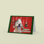 Golden Retriever Christmas Cards Gifts