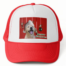 Golden Retriever Christmas Cards Gifts hats