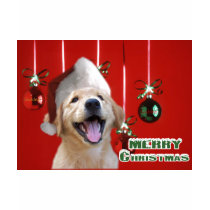 Golden Retriever Christmas Cards Gifts t-shirts
