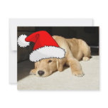 Golden Retriever Christmas Personalized Invitations