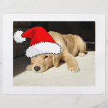 Golden Retriever Christmas Personalized Flyer