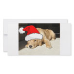 Golden Retriever Christmas photo cards