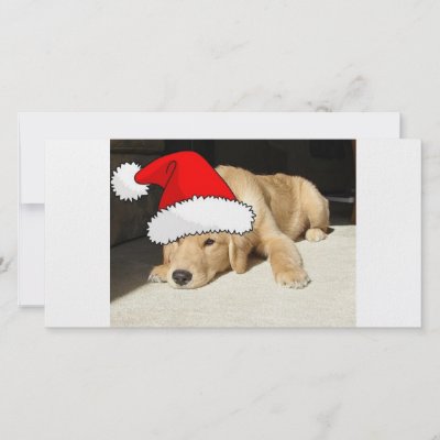 Golden Retriever Christmas photo cards