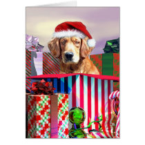 Golden Retriever Christmas Surprise cards
