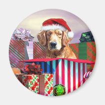 Golden Retriever Christmas Surprise magnets