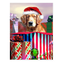 Golden Retriever Christmas Surprise postcards