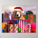Golden Retriever Christmas Surprise Posters