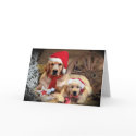 Golden Retriever Christmas Western Style card