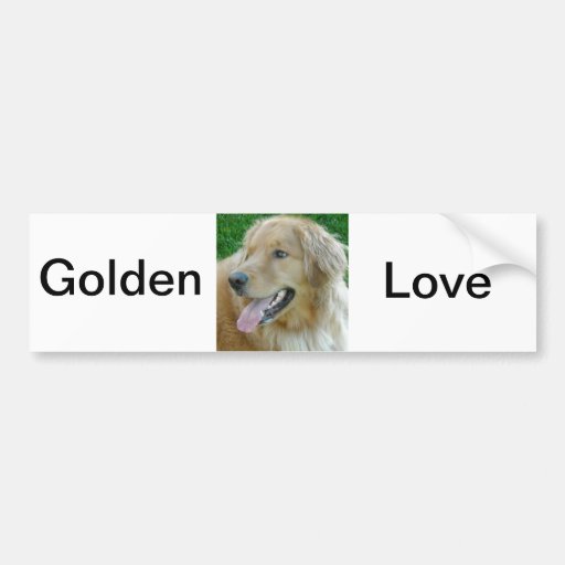 Golden Retriever Close-up Bumper Stickers