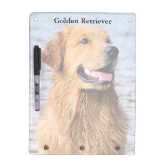 Golden Retriever Color Dry Erase Board