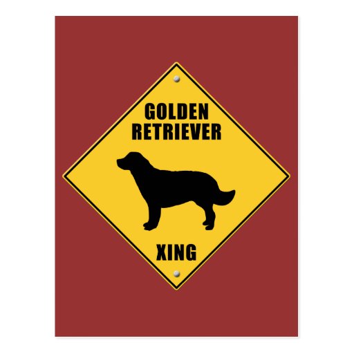 golden retriever signs golden retriever crossing xing sign postcard zazzle golden retriever signs golden retriever crossing xing sign postcard zazzle