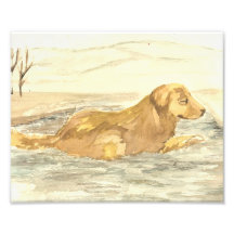 Golden Retriever dog Art print Art Photo