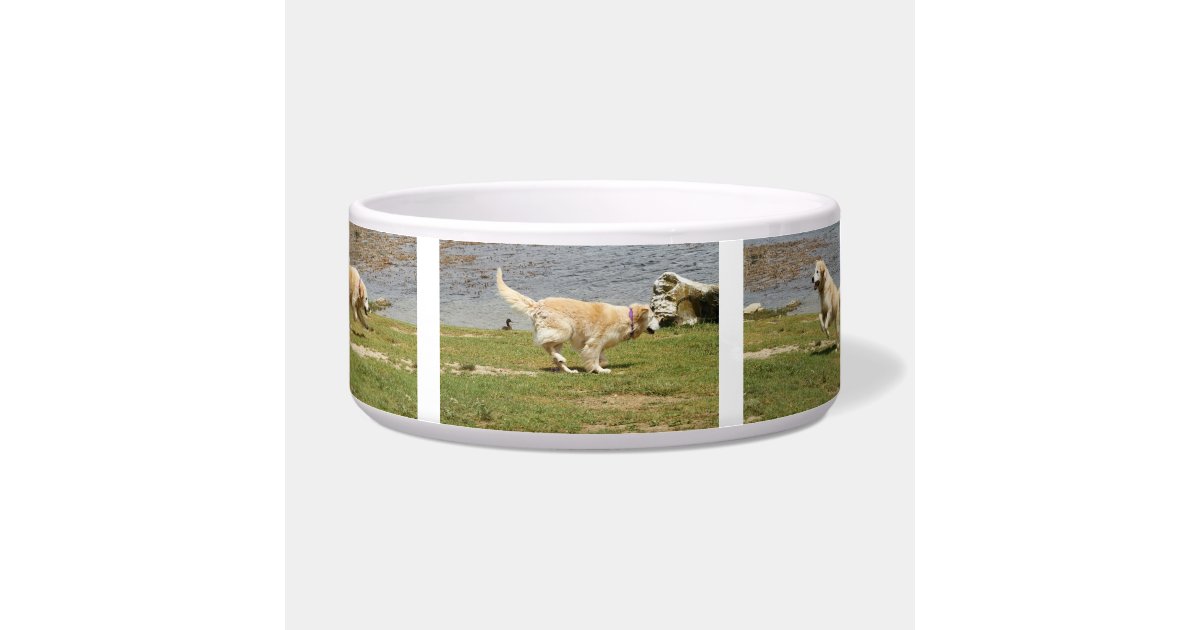 Golden retriever dog bowl. bowl Zazzle