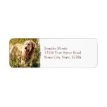 Golden Retriever Dog Custom Return Address Labels