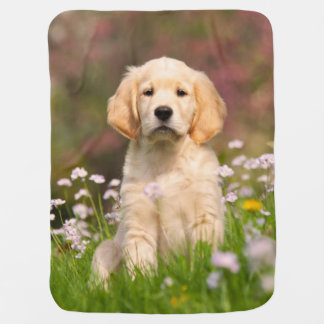 golden retriever blanket golden retriever blankets bed blankets zazzle golden retriever blanket golden retriever blankets bed blankets zazzle