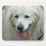 Golden Retriever Dog Mouse Pad / Mouse Mat