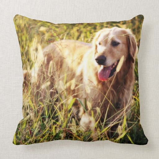 Golden Retriever Dog Throw Pillow