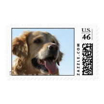 Golden Retriever Dog Stamp