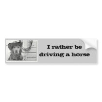 Golden Retriever Driving A Horse  Bumper Sticker bumper stickers